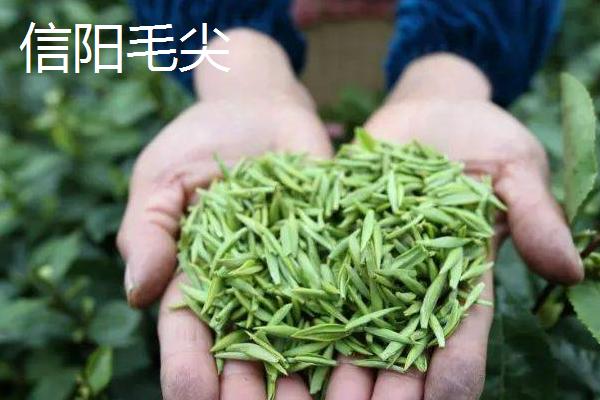 绿茶有哪些好的品种，销量占据国内茶叶的半壁江山