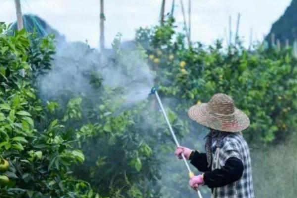 氟硅唑咪鲜胺有什么作用，可防治果树、蔬菜上面发生的多种病害