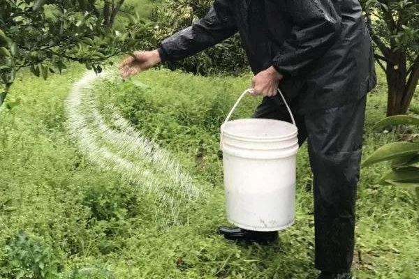 复合肥的使用方法，选择浓度合适的复合肥最关键