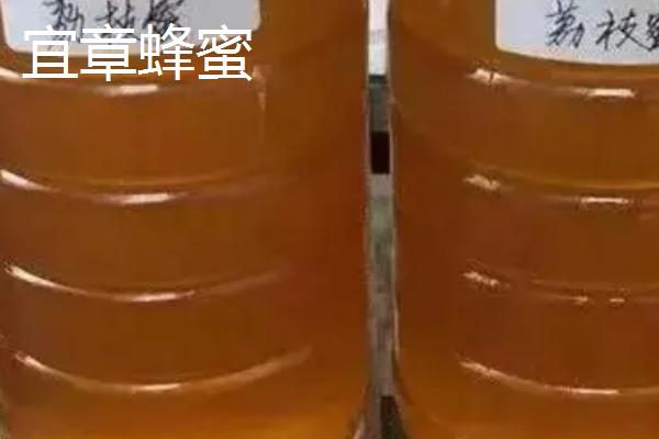 湖南省嘉禾县的特产，包括嘉禾霉豆腐、嘉禾角粽等种类