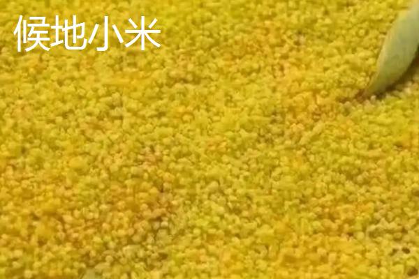 河南巩义市的特产，小相菊花是全国农产品地理标志