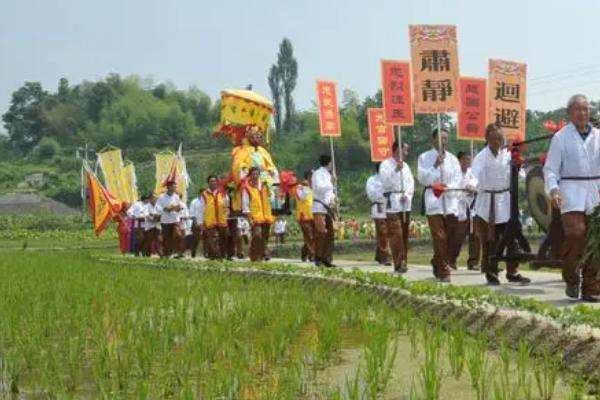 芒种的习俗活动，包括祭祀、打泥巴仗、举行安苗仪式