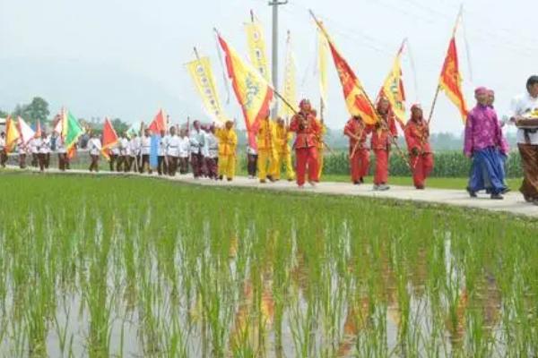 芒种的习俗活动，包括祭祀、打泥巴仗、举行安苗仪式