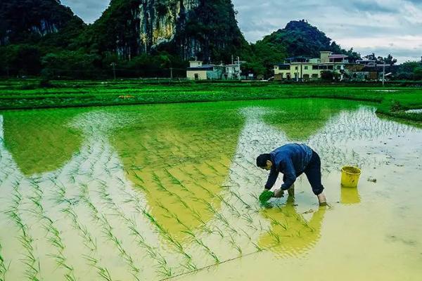 春耕是在农历几月份，一般为农历2-3月份