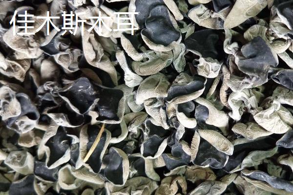 黑龙江同江市的特产，同江玉米畅销多个省市