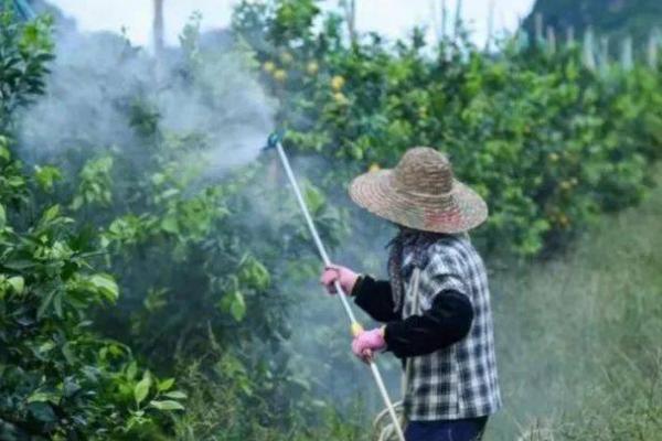 微生物菌剂的作用与功效，给作物提供生长所需要的营养物质