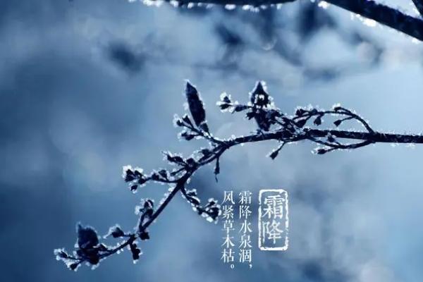 山明水净夜来霜，数树深红出浅黄描写的是什么节气，是指霜降时节