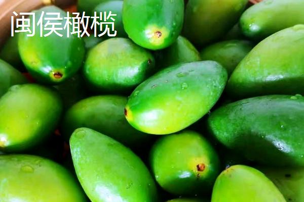 福建省闽侯县的特产，闽侯橄榄是名优水果之一