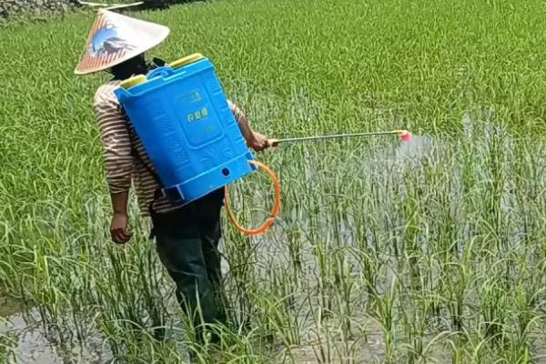 多菌灵治什么病，可有效防治由真菌引起的多种作物病害