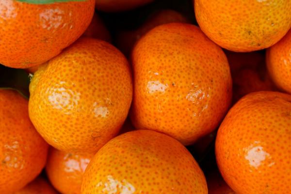 桔子和橘子的区别，是同一种水果只是叫法不同