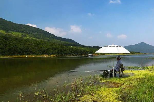 野钓多深的水里有大鱼，在2米到4米之间有大鱼