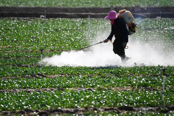 花菜需要哪些肥料，需要尿素、钙肥、钾肥等有机肥