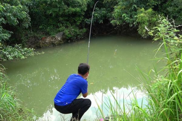 四月份钓鱼的适宜位置，铧尖、水草区、河汊口等地方均适合作钓