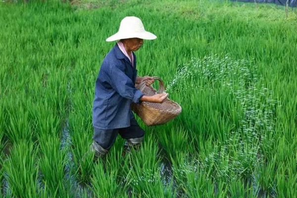 生物有机复合肥的使用注意事项，需要配套正确施用