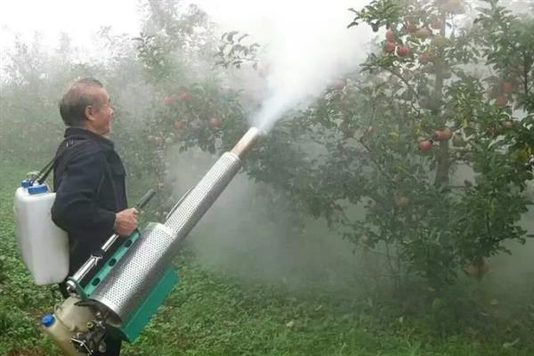 怎么栽培矮化苹果树，生长期间要定期追施薄肥