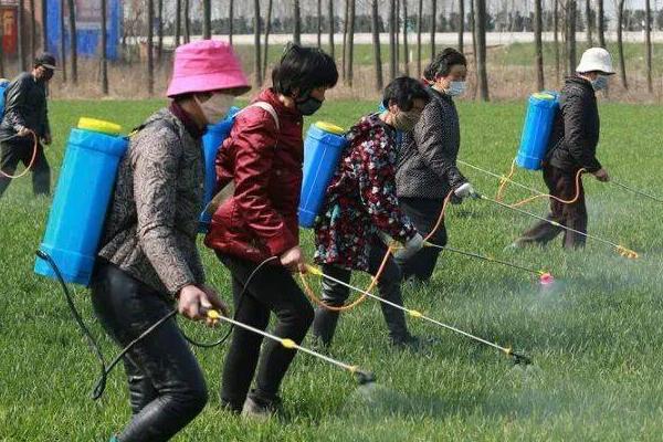 蚜虫的生物防治方法，主要是保护和利用天敌