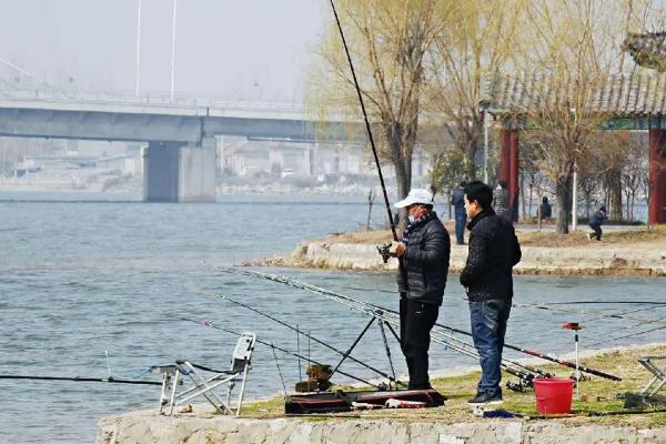 鲫鱼什么季节最好钓，几乎一年四季都可作钓