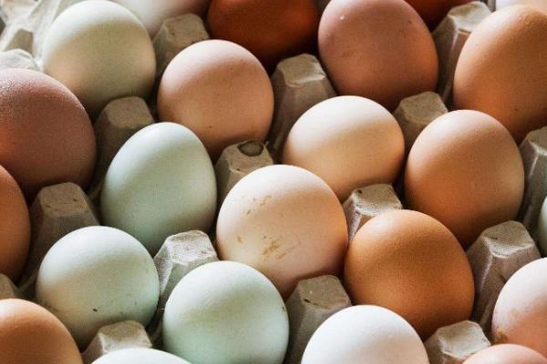 如何判断鸡蛋是否新鲜，挑选重一点且没有晃动感的