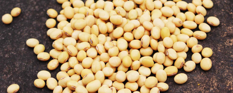 苏豆13大豆品种简介，适宜播期6月25日~7月5日