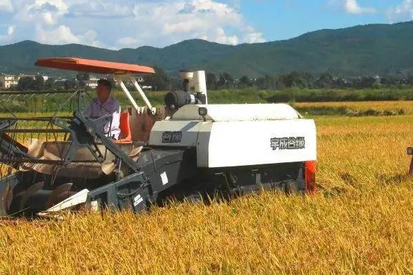 哪些主要因素会影响粮食种植，政策、价格、气候等方面均会产生影响