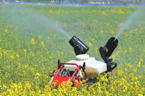 地老虎用什么农药防治效果好，一般可以黑光灯、糖醋液诱杀成虫