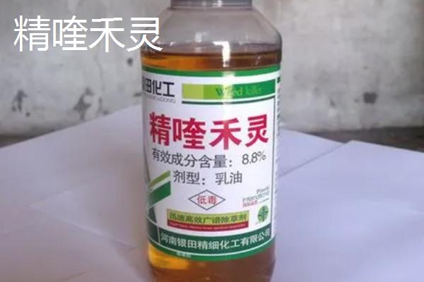 烯草酮和精喹禾灵有什么区别，前者属于茎叶除草剂、后者属于低毒除草剂