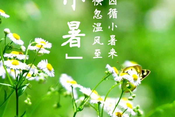 小暑节气介绍，每年7月6日至8日交节