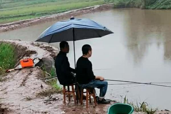 下雨天钓鲫鱼是钓底还是钓浮，一般采取钓浮的方式