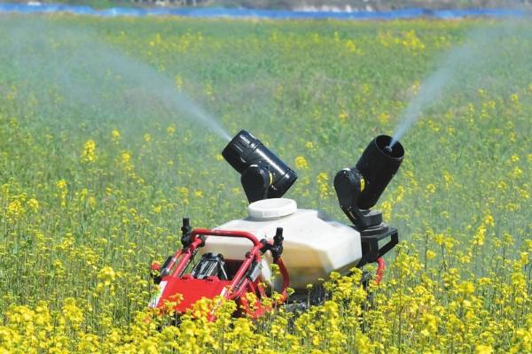 噻虫胺可以防治哪些害虫，可有效防治半翅目、鳞翅目等害虫