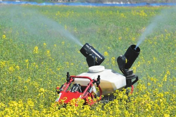 除草剂按施药范围的品种，分为全面施药型、点式施药型和点施型