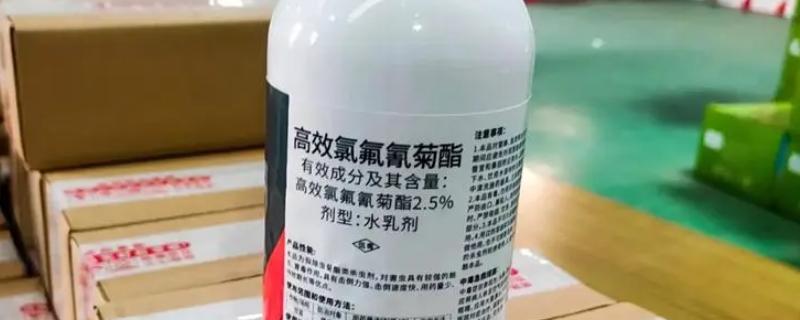 氟氯氰菊酯可以杀什么虫，可以杀葡萄绿盲蝽、桃小食心虫等