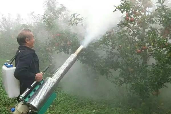 苹果树的种植方法，喜欢在碱性的环境下生长