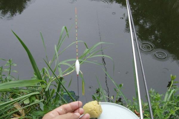 钓鲢鳙的调漂技巧，挂饵调漂法是常用的调漂方法