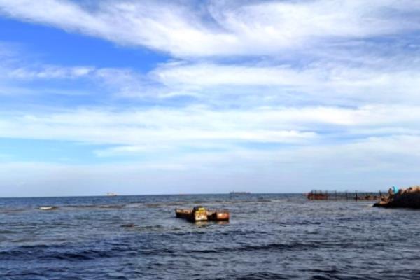 白鳝的产地在哪里，广泛分布在渤海、黄海、东海等沿岸及其江河