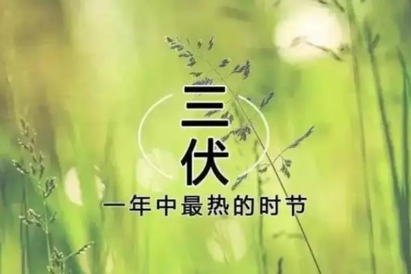 什么是末伏，是指立秋后的第一个庚日