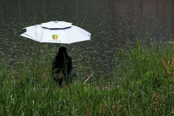 晚上下雨钓鱼有口吗，如果温度较低的话开口状态则不好