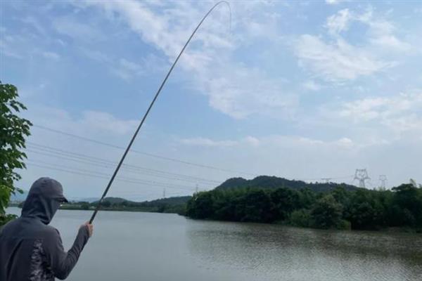 怎么抛竿钓鲤鱼，找到参照物或参照点再抛投