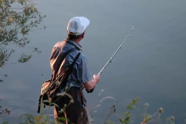 如何在黑坑调漂钓罗非鱼，要根据鱼情、水情、季节等因素调漂