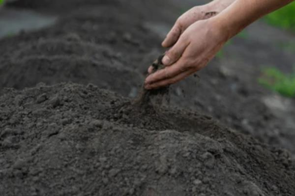 怎么种砍瓜种子，出苗前温度最好能保持在25-30℃